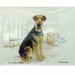 Airedale By: Gill Evans, Matted