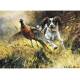 A Near Miss (English Springer) Blank Greeting Cards - 6 Pack