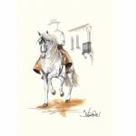Cordoba (Andalusian) By: Jan Kunster, Matted