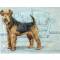 Airedale Terrier By: David Thompson, Matted