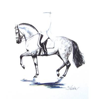 Invasor (Dressage) By: Jan Kunster, Matted