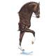 Donnerhall (Dressage) By: Jan Kunster. Matted