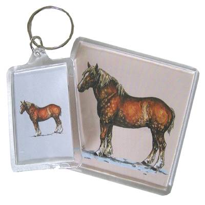 Acrylic Magnet - Belgian - 6 Pack