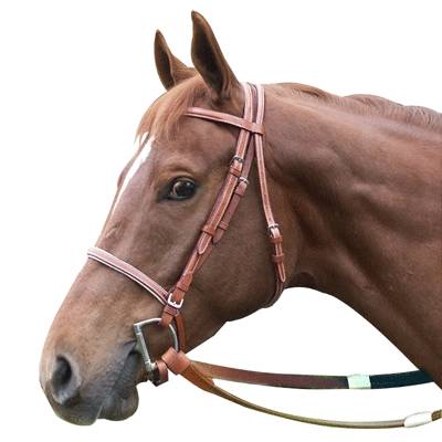 Racing Bridle - Leather