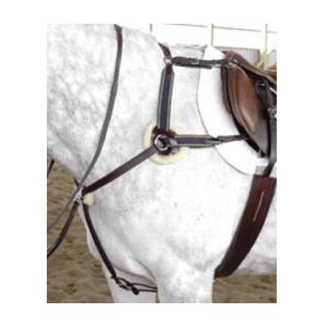 Five Point Breastplate