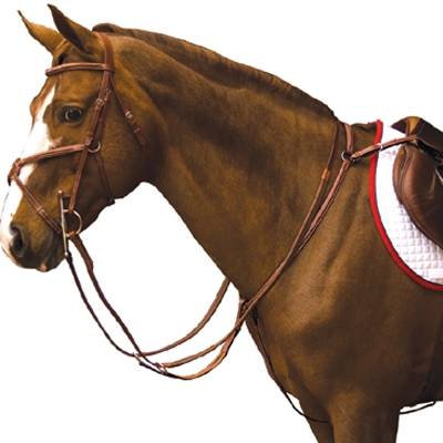 Exselle Elite Fancy Square Raised Running Breastplate