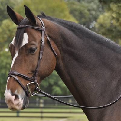 Exselle Elite Plain & Fancy Bridle