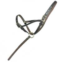 Leather Foal Slip with Grab Strap
