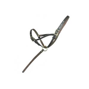 Leather Foal Slip with Grab Strap