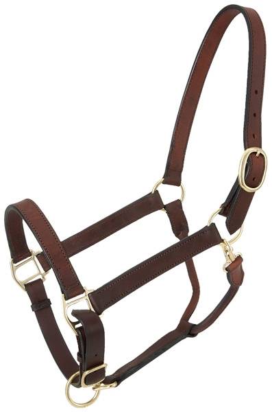 Tough 1 Brown Leather Suckling Foal Size Churchill Stable Halter w/Snap 44-2034 