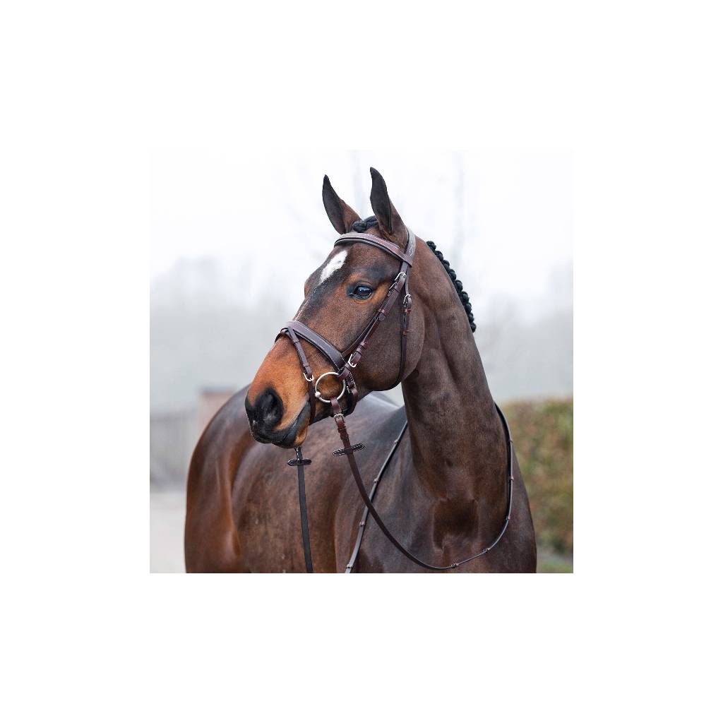 Horze Venice Soft Padded Bridle with Reins