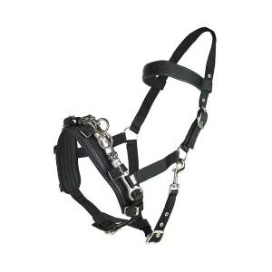 Horze Nylon Lunging Cavesson