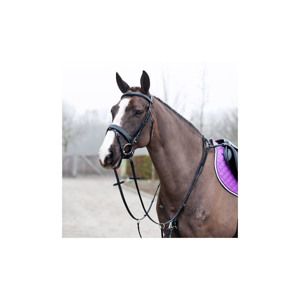 Horze Venice Combined Running Martingale Breastplate