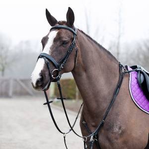Horze Venice Combined Running Martingale Breastplate