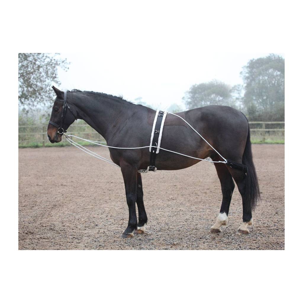 Shires Lunging Aid