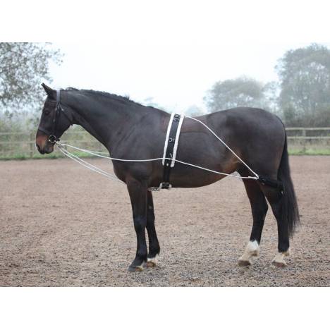 Shires Lunging Aid