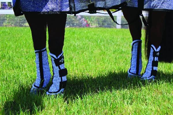 Professionals Choice Fly Boots