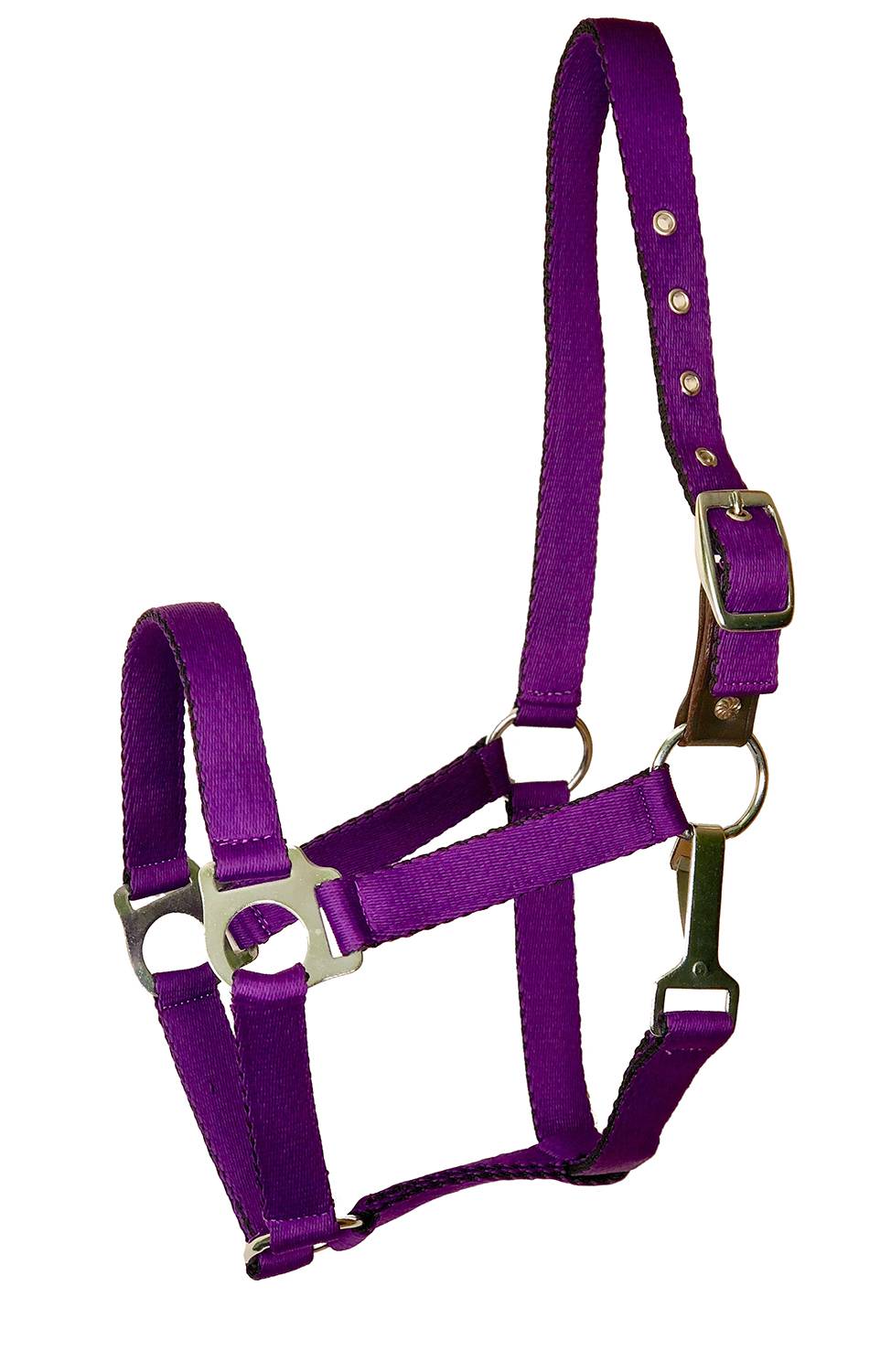 401119-PURPLE-WEANLING Gatsby Ultra Soft Nylon Safety Halter sku 401119-PURPLE-WEANLING