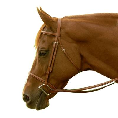 Exselle Elite Fancy Square Raised Bridle