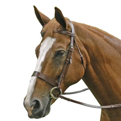 Exselle Elite Traditional Fox Hunt Bridle