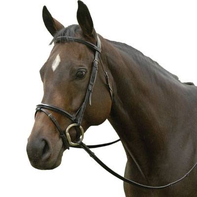 Exselle Elite Plain Raised Event Bridle