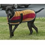 Traditional Pattern Dog Coat