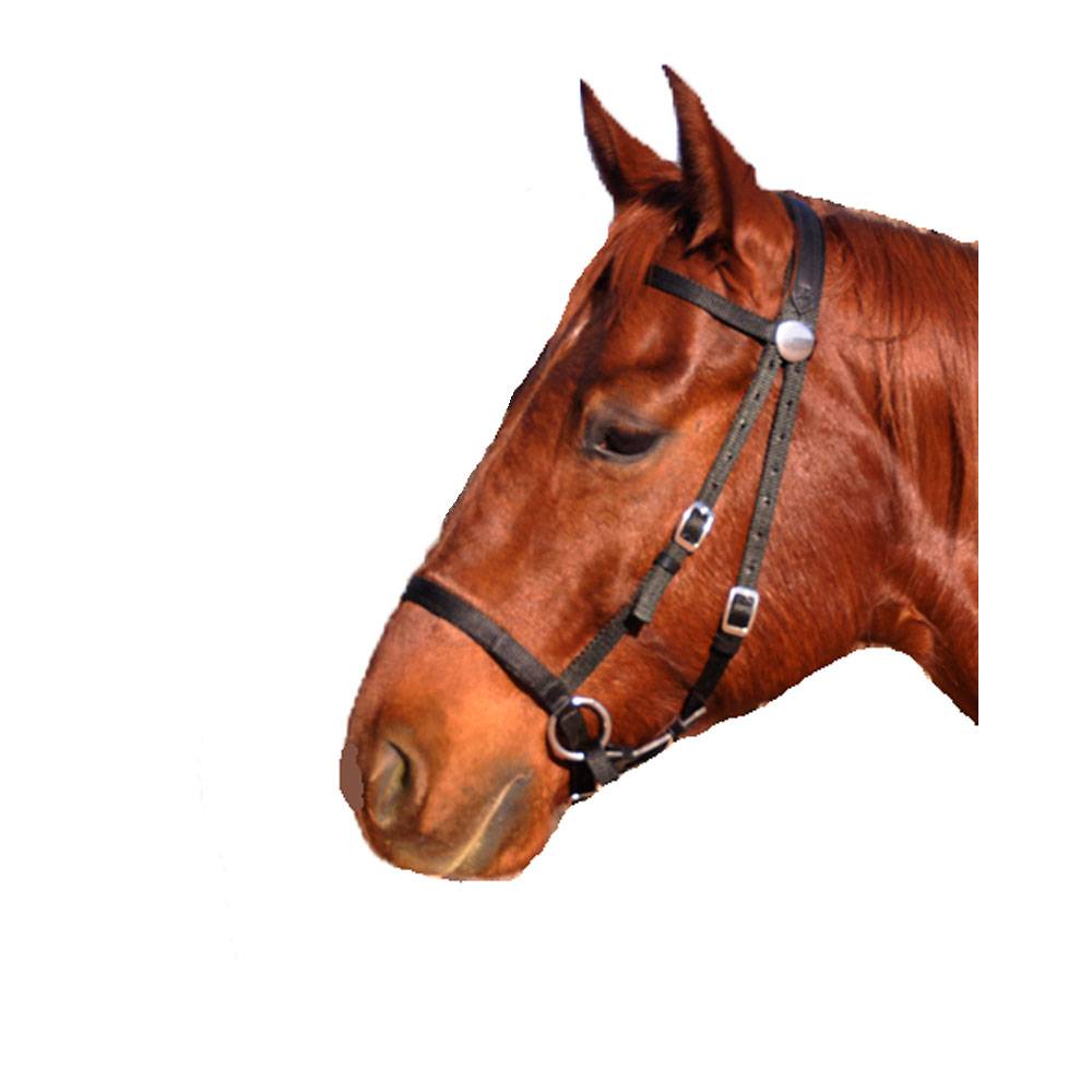 nylon horse tack