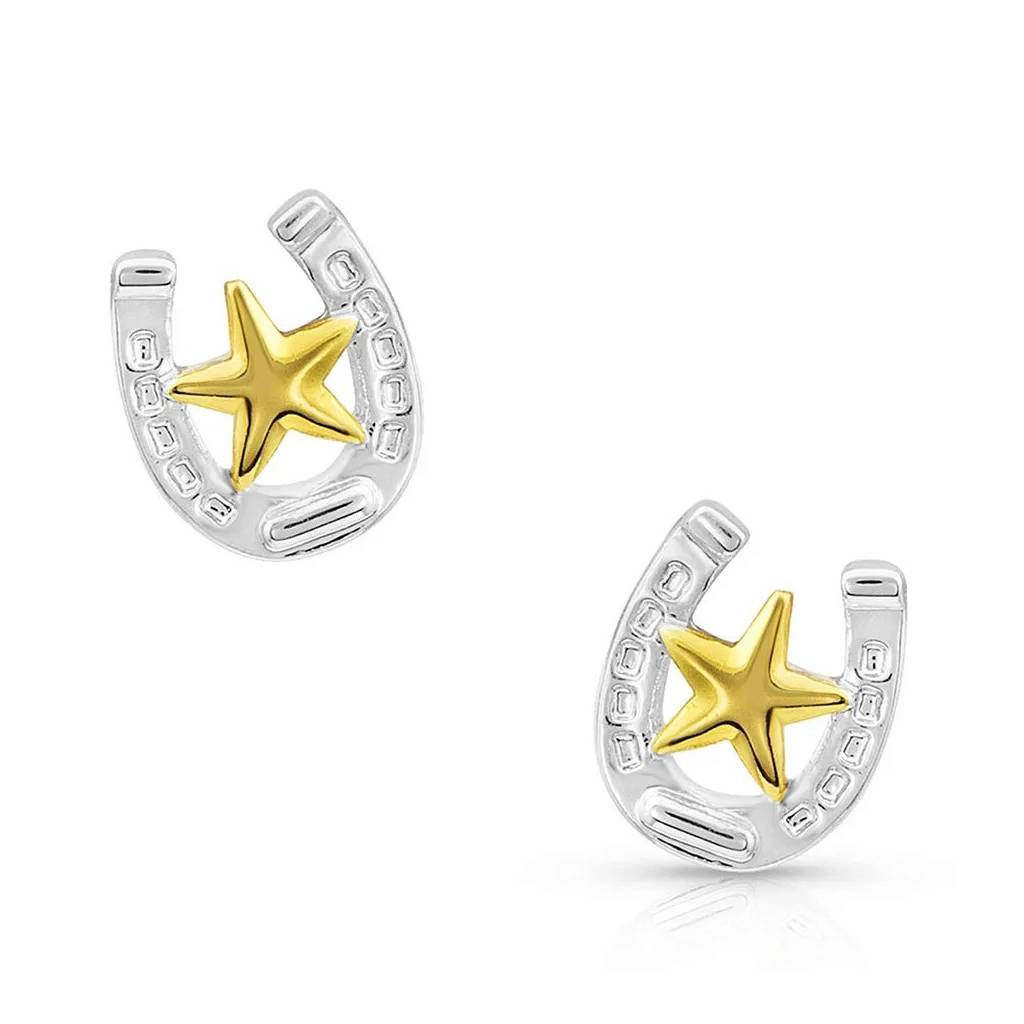 Montana Silversmiths Small Stars & Horseshoe Post Earrings