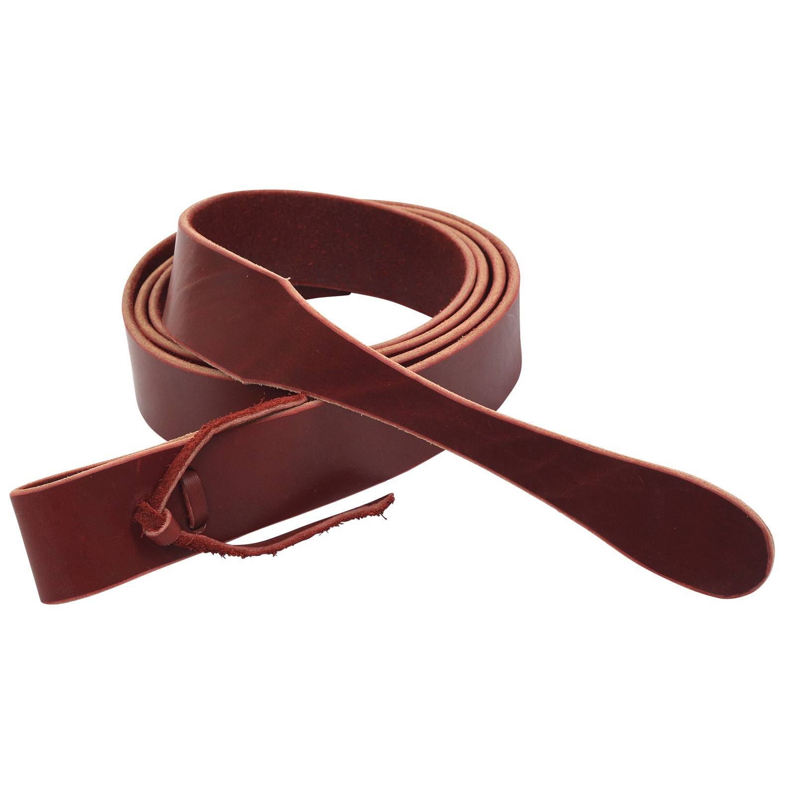 Cirlce Y Latigo Tie Strap