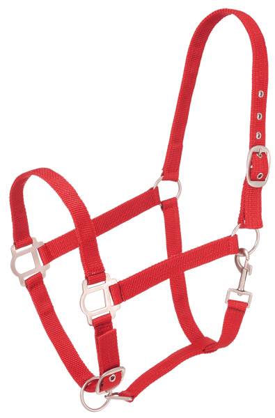 Tough-1 Nylon Halter with Satin Hardware