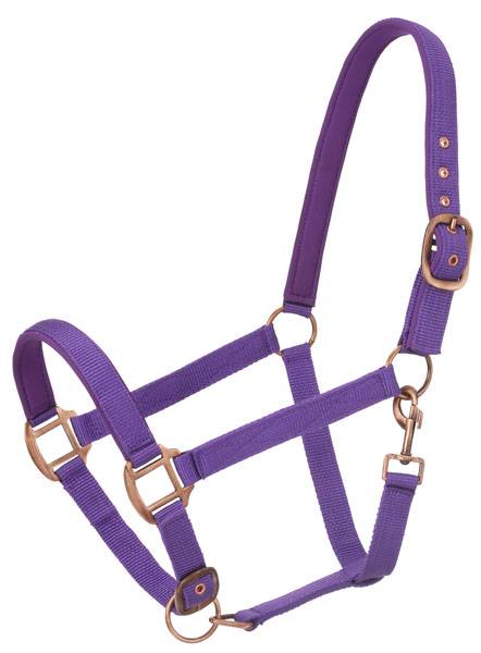 Tough-1 Neoprene Padded Halter with  Antique Hardware