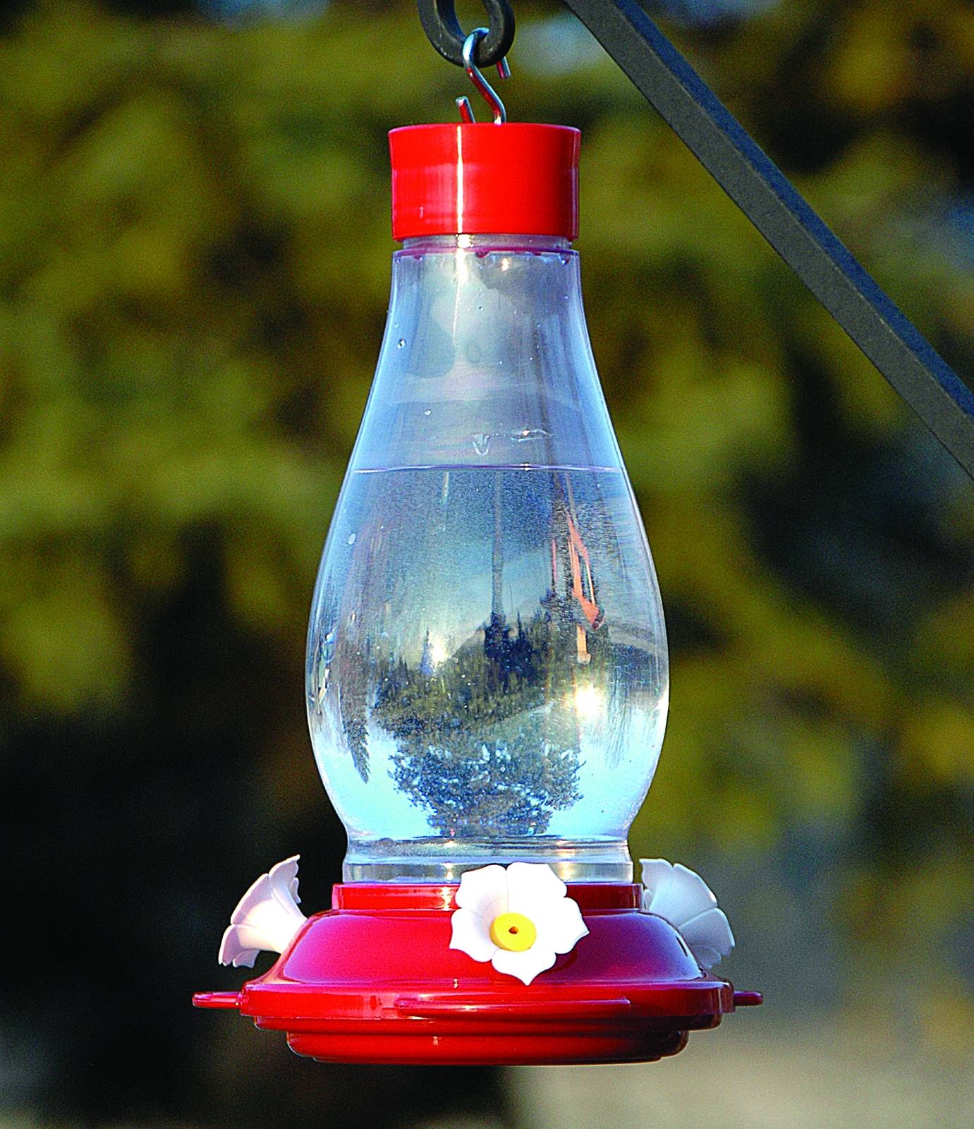 Audubon Plastic Hummingbird Feeder 24 Oz. Red eBay