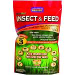 Insect & Feed