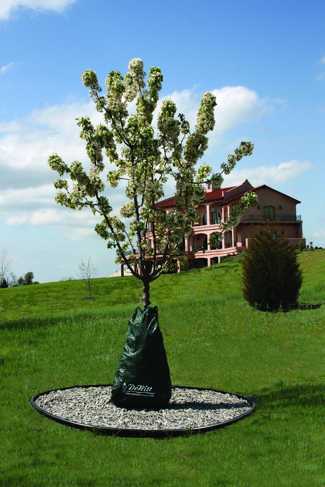 Dew Right Drip Irrigation Bag for New Trees