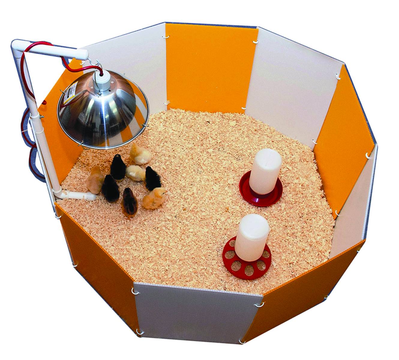 Farm Innovators Baby Chick Starter Home
