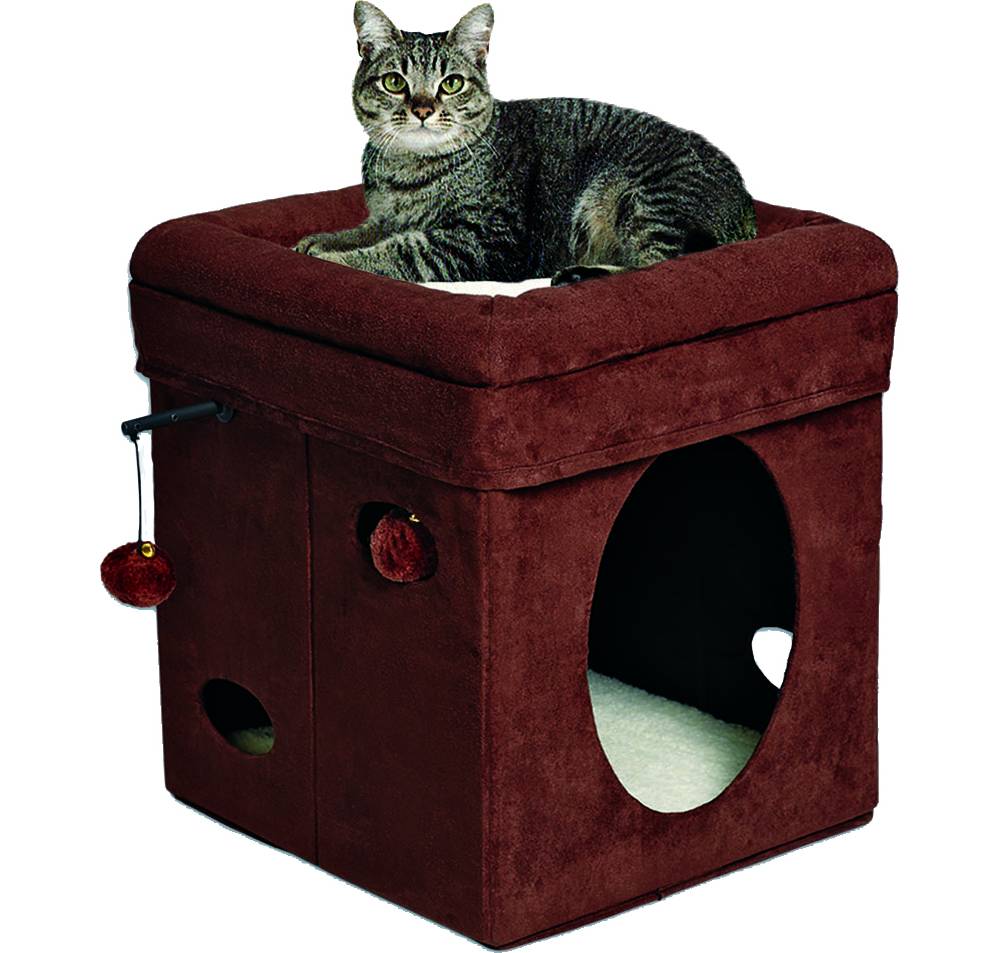 cat cube toy