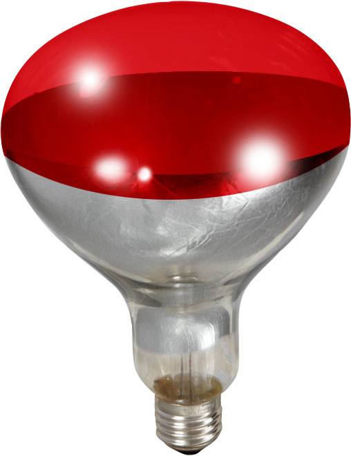 Little Giant Poultry Heat Lamp Bulb