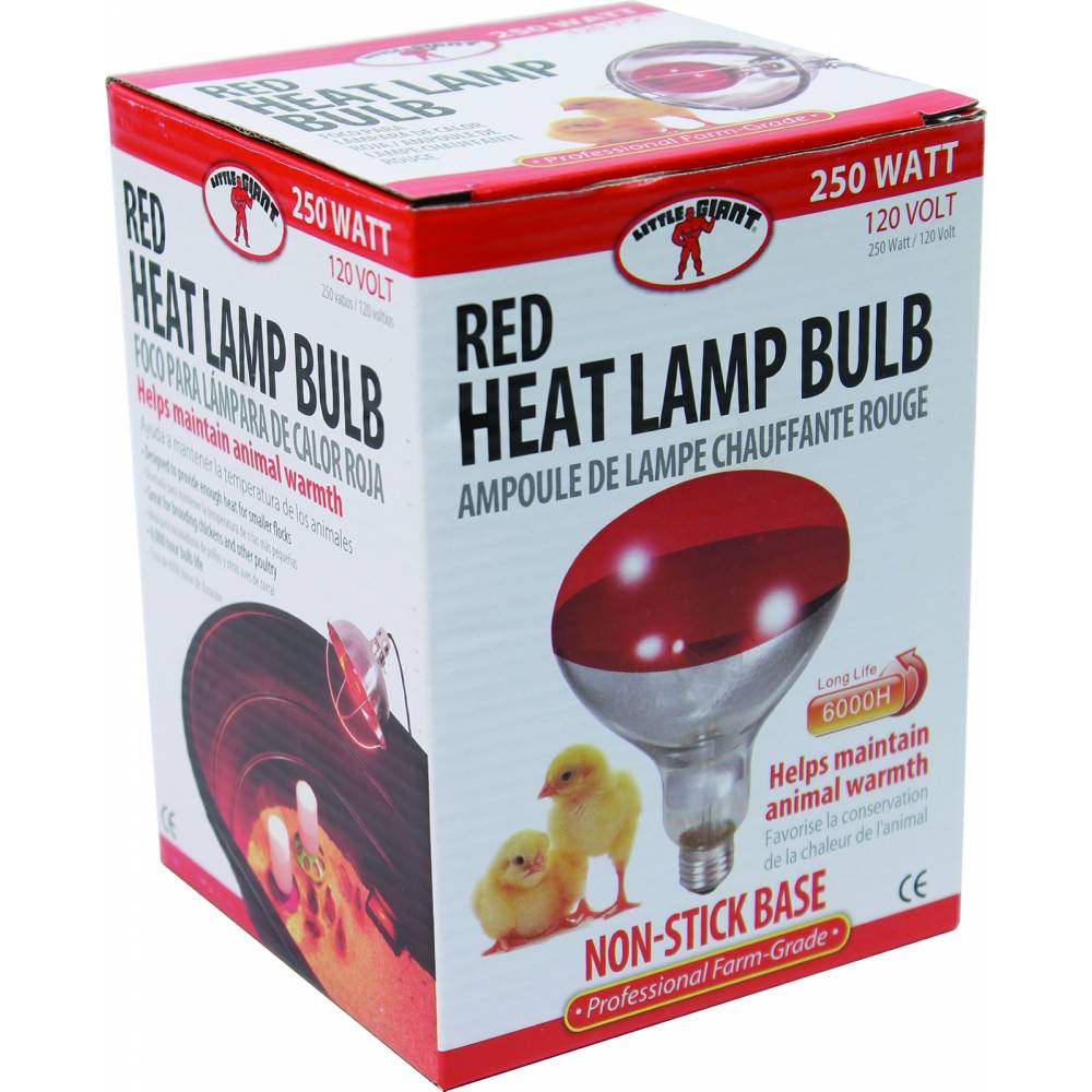 Little Giant Poultry Heat Lamp Bulb HorseLoverZ