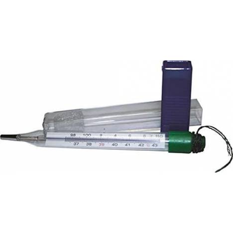 Non-Mercury Vet Thermometer