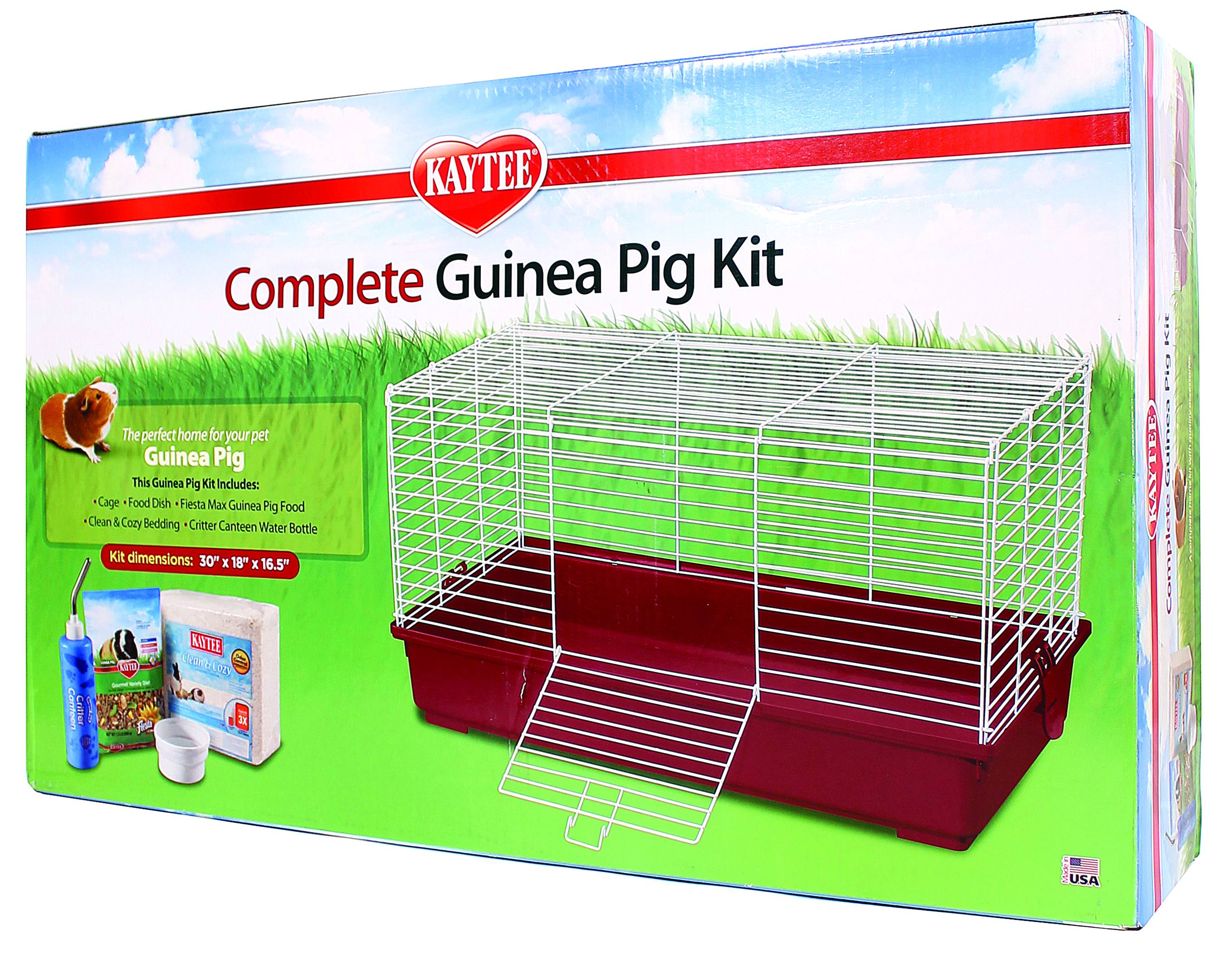 Kaytee guinea pig outlet starter kit