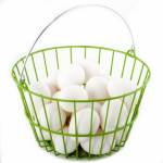 Ware Coated Wire Egg Basket