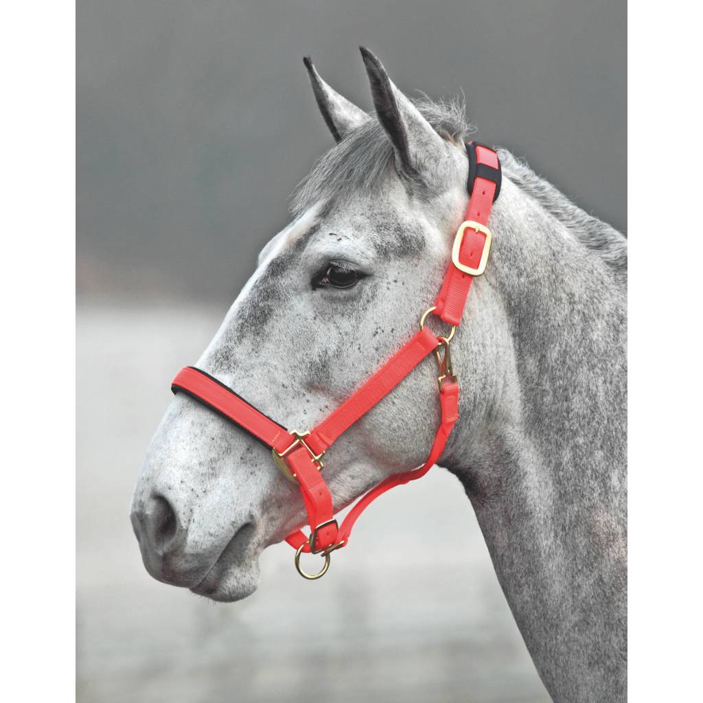 Shires Topaz Leather Breakaway Nylon Headcollar