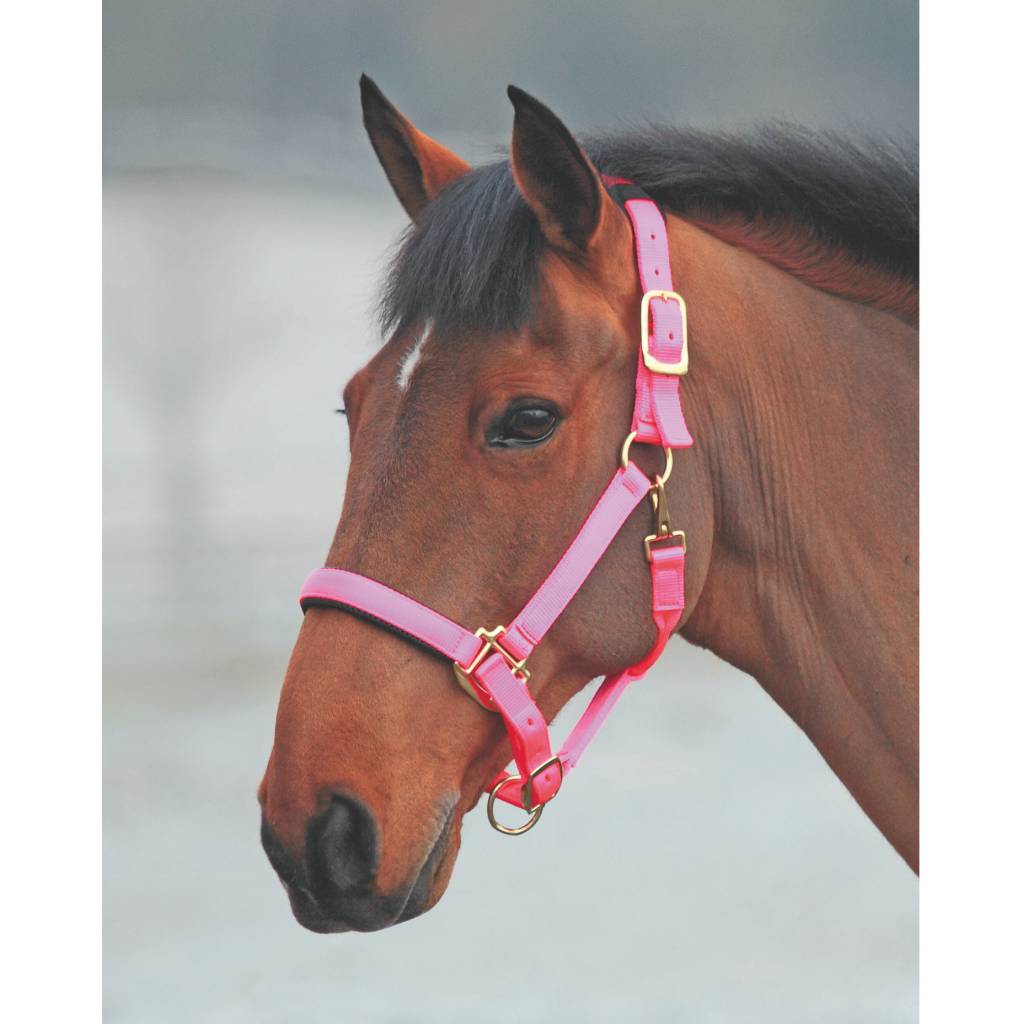 Shires Topaz Leather Breakaway Nylon Headcollar