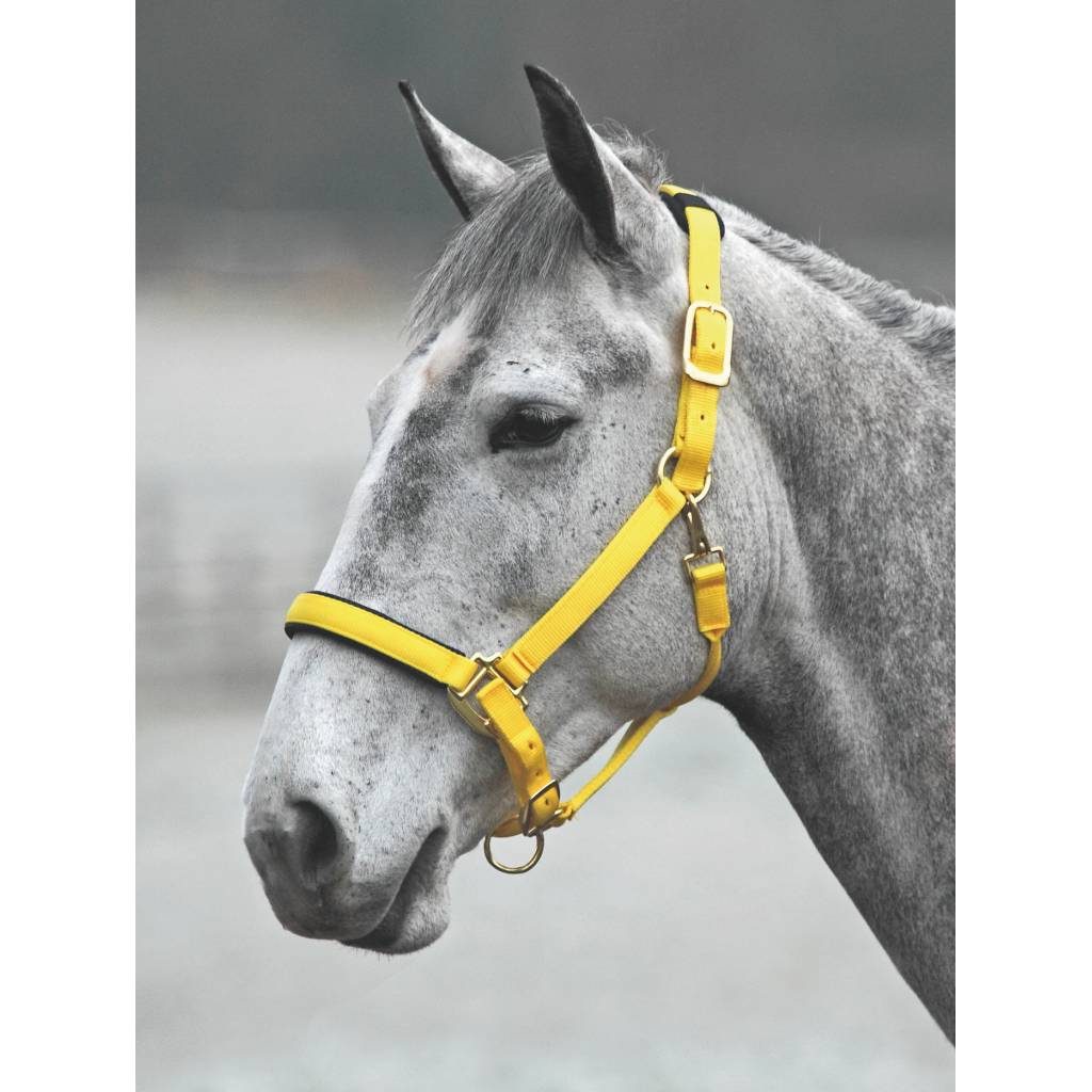 Shires Topaz Leather Breakaway Nylon Headcollar