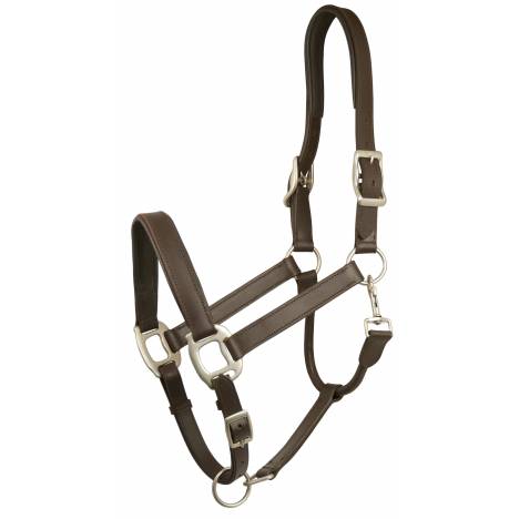 Gatsby Padded Leather Halter - Black - Horse