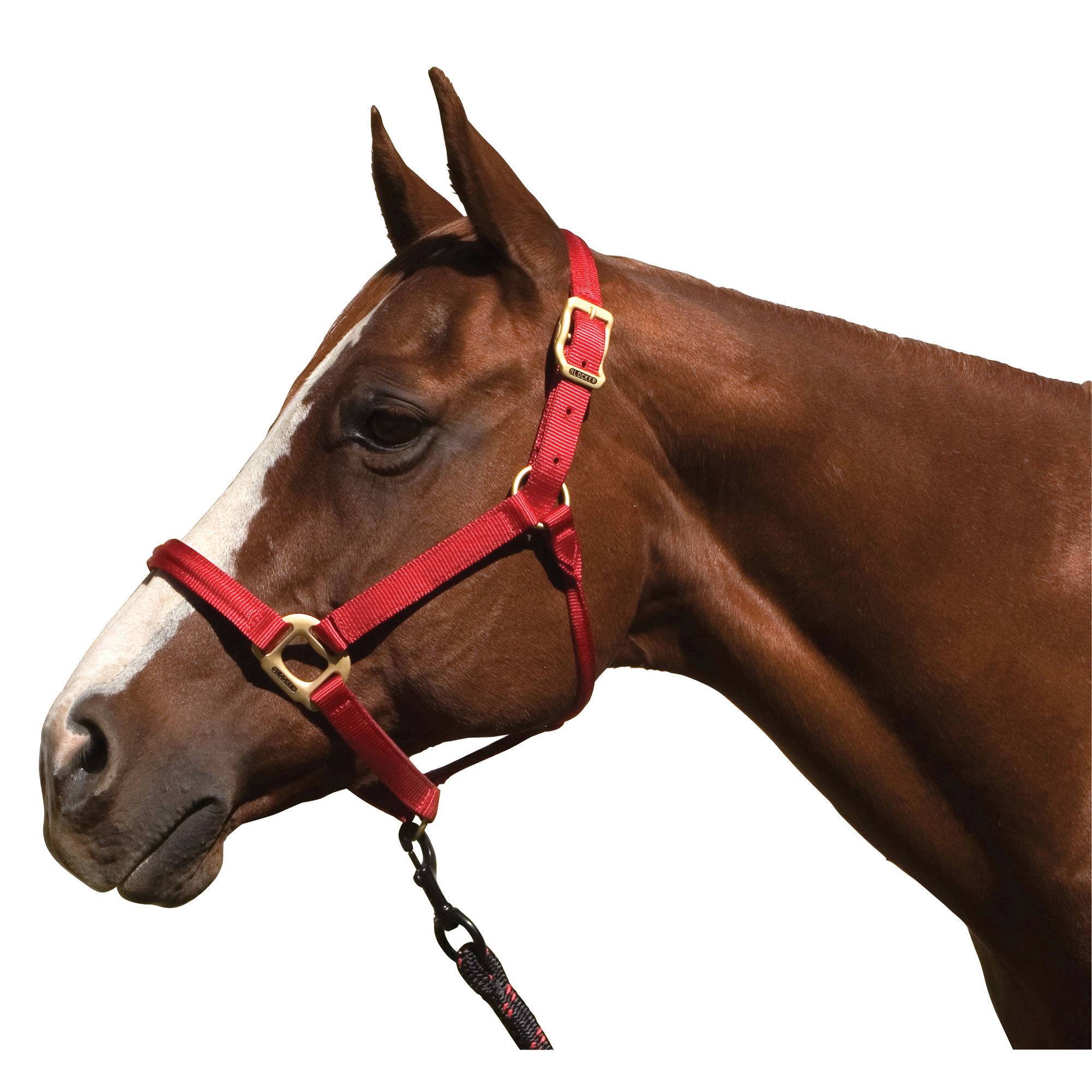 10-0322A-RD Blocker Halter with  Cable Reinforced Crown & Nose sku 10-0322A-RD
