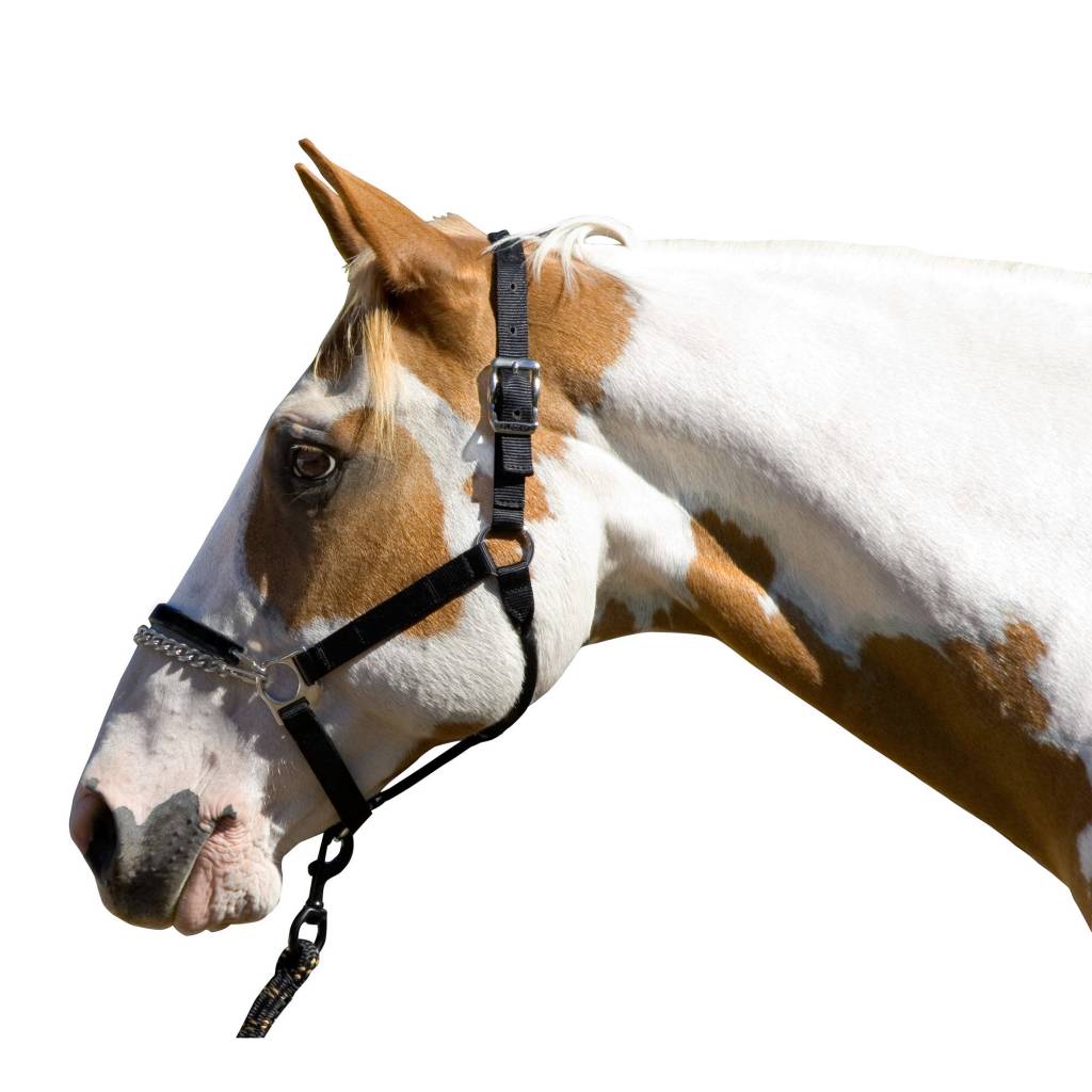 Blocker Control Halter with Cable Reinfored Crown & Rubber Noseband