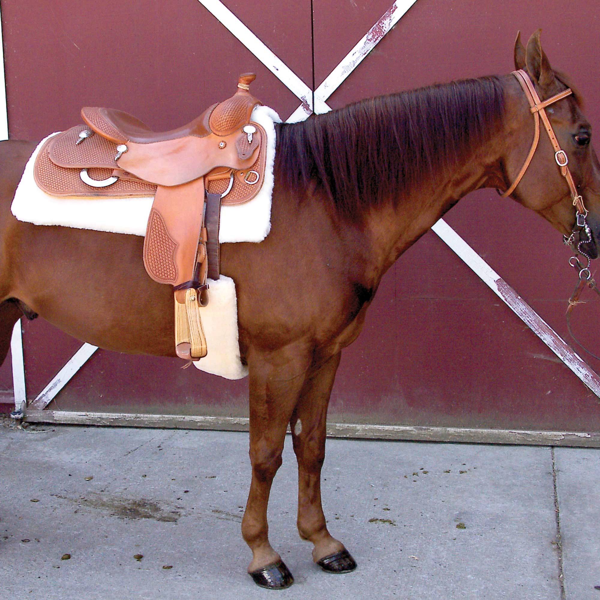 Toklat CoolBack Cinch Cover