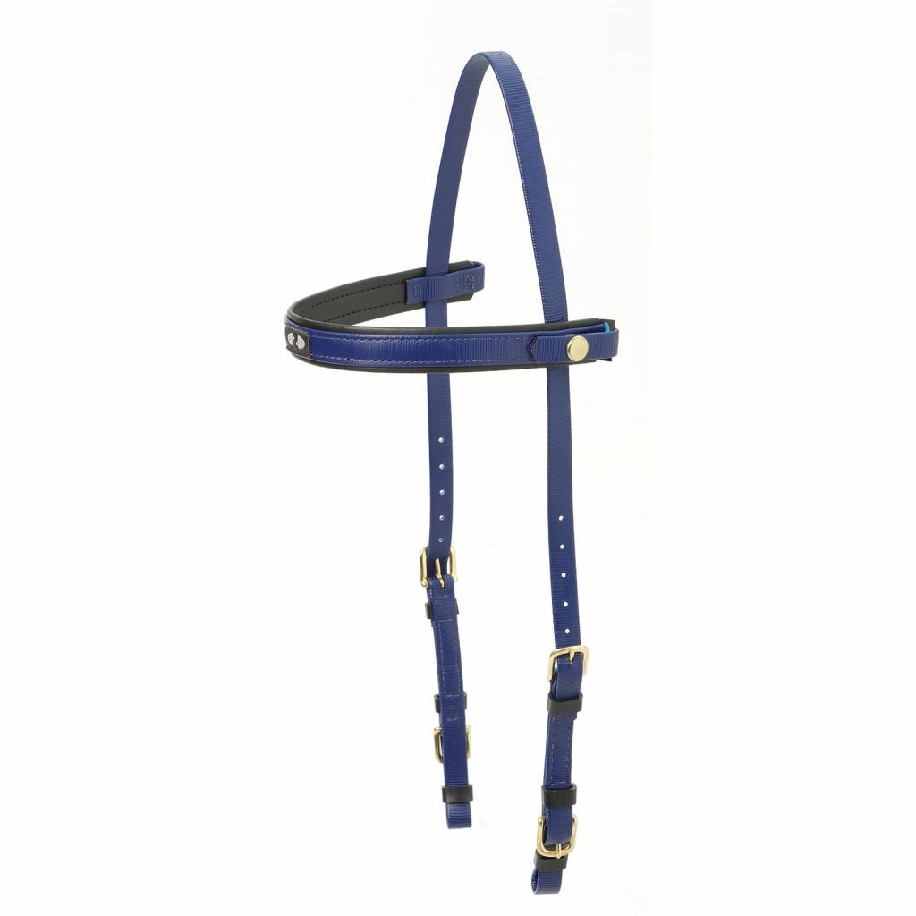 Zilco Deluxe Endurance Bridle - Halter Only