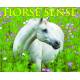 Horse Sense 2015 Calendar